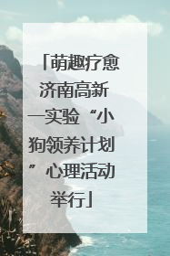 萌趣疗愈 济南高新一实验“小狗领养计划”心理活动举行