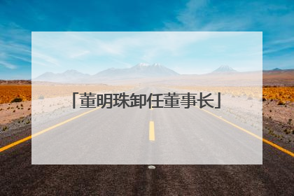 董明珠卸任董事长