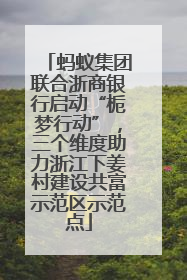 蚂蚁集团联合浙商银行启动“栀梦行动”，三个维度助力浙江下姜村建设共富示范区示范点