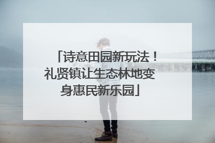 诗意田园新玩法！礼贤镇让生态林地变身惠民新乐园