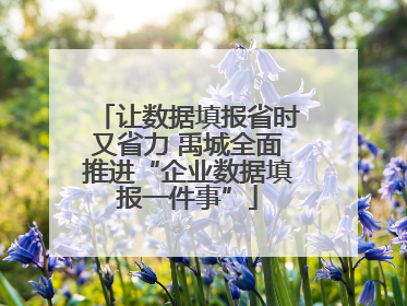 让数据填报省时又省力 禹城全面推进“企业数据填报一件事”