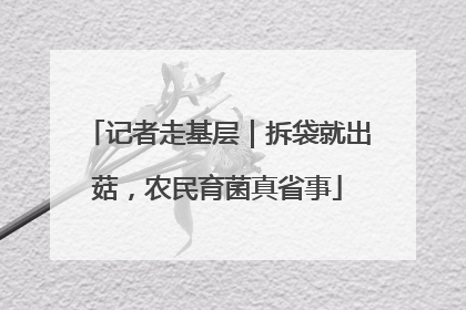 记者走基层｜拆袋就出菇，农民育菌真省事