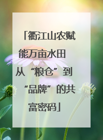 衢江山农赋能万亩水田 从“粮仓”到“品牌”的共富密码