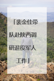 裴金佳带队赴陕西调研退役军人工作