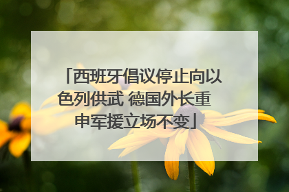 西班牙倡议停止向以色列供武 德国外长重申军援立场不变