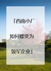 西南小厂如何蝶变为领军企业