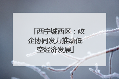 西宁城西区：政企协同发力推动低空经济发展