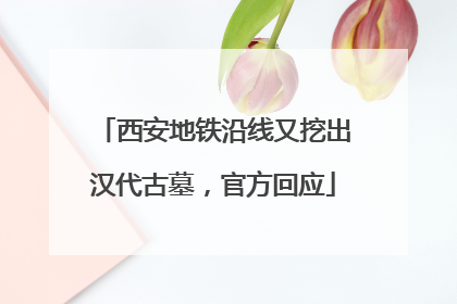 西安地铁沿线又挖出汉代古墓，官方回应