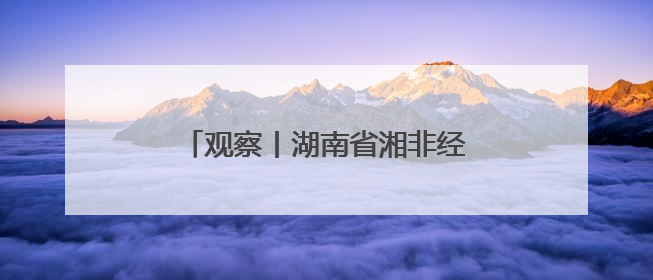 观察丨湖南省湘非经贸商会如何串起湖南与非洲的“万里商路”