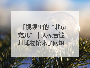 视频里的“北京范儿”｜大葆台遗址博物馆来了网络大V联盟