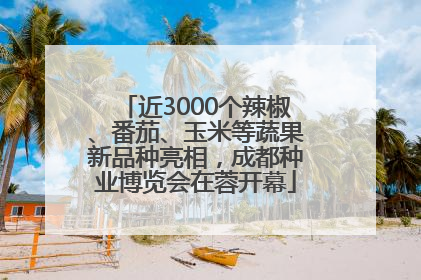 近3000个辣椒、番茄、玉米等蔬果新品种亮相，成都种业博览会在蓉开幕