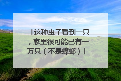 这种虫子看到一只，家里很可能已有一万只（不是蟑螂）