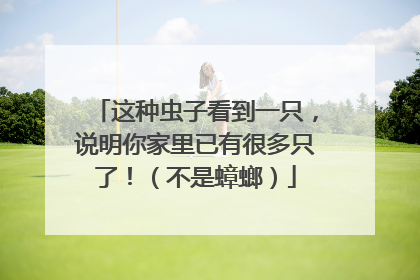 这种虫子看到一只，说明你家里已有很多只了！（不是蟑螂）