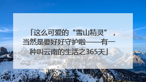 这么可爱的“雪山精灵”，当然是要好好守护啦——有一种叫云南的生活之365天