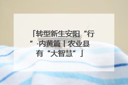 转型新生安阳“行”·内黄篇丨农业县有“大智慧”