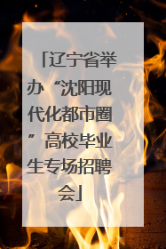 辽宁省举办“沈阳现代化都市圈”高校毕业生专场招聘会
