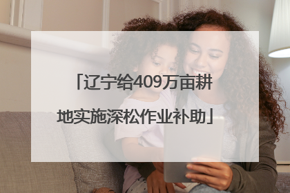 辽宁给409万亩耕地实施深松作业补助