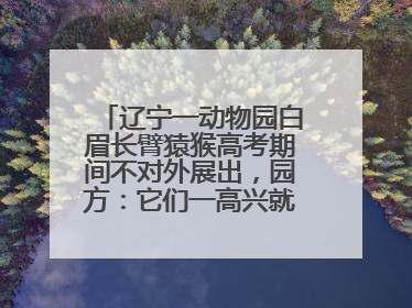 辽宁一动物园白眉长臂猿猴高考期间不对外展出，园方：它们一高兴就喜欢鸣叫，怕影响考试