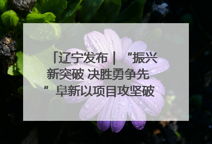 辽宁发布｜“振兴新突破 决胜勇争先”阜新以项目攻坚破解发展瓶颈 经济发展实现良好开局