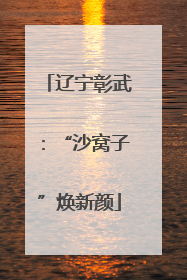 辽宁彰武：“沙窝子”焕新颜