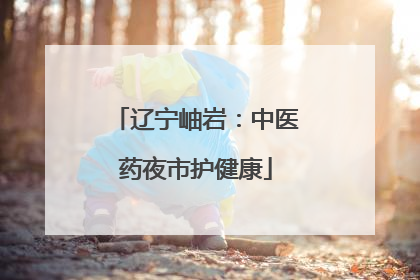 辽宁岫岩：中医药夜市护健康