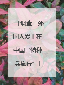 调查｜外国人爱上在中国“特种兵旅行”