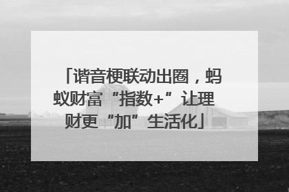 谐音梗联动出圈，蚂蚁财富“指数+”让理财更“加”生活化