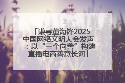 谦寻董海锋2025中国网络文明大会发声：以“三个向善”构建直播电商善意长河