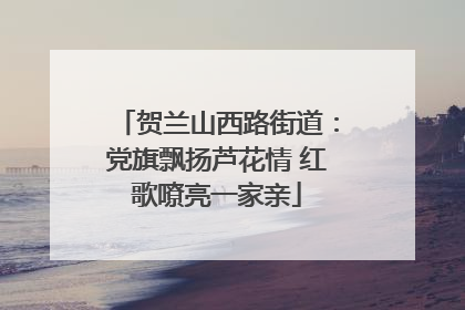 贺兰山西路街道：党旗飘扬芦花情 红歌嘹亮一家亲