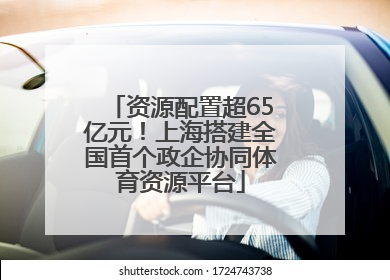 资源配置超65亿元！上海搭建全国首个政企协同体育资源平台