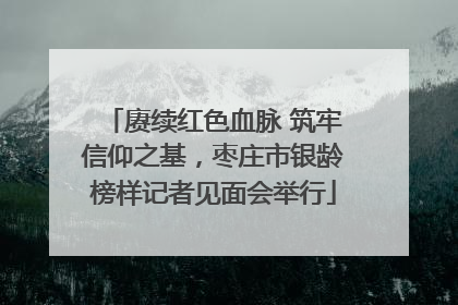 赓续红色血脉 筑牢信仰之基，枣庄市银龄榜样记者见面会举行
