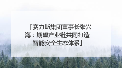赛力斯集团董事长张兴海：期望产业链共同打造智能安全生态体系