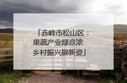 赤峰市松山区：果蔬产业绿意浓 乡村振兴展新姿