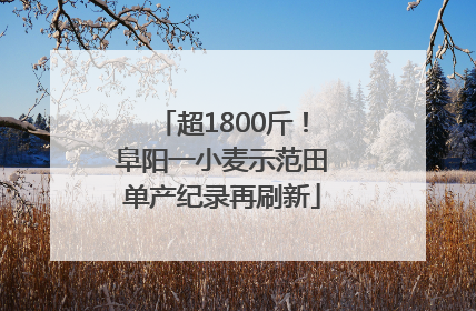 超1800斤！阜阳一小麦示范田单产纪录再刷新