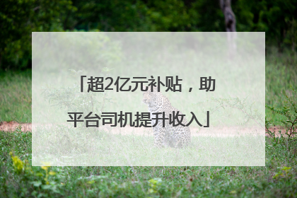 超2亿元补贴，助平台司机提升收入