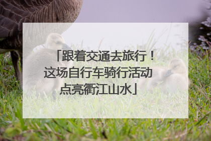 跟着交通去旅行！这场自行车骑行活动点亮衢江山水