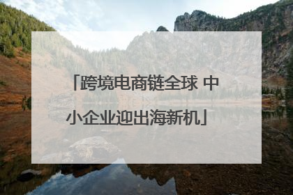 跨境电商链全球 中小企业迎出海新机