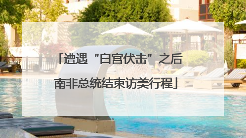 遭遇“白宫伏击”之后 南非总统结束访美行程