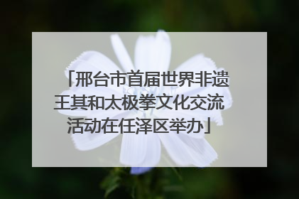 邢台市首届世界非遗王其和太极拳文化交流活动在任泽区举办