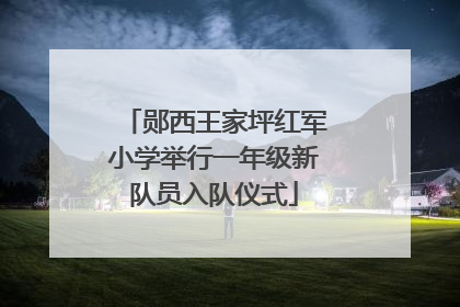 郧西王家坪红军小学举行一年级新队员入队仪式
