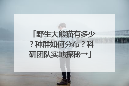 野生大熊猫有多少？种群如何分布？科研团队实地探秘→