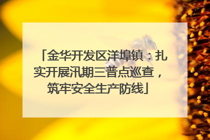 金华开发区洋埠镇：扎实开展汛期三普点巡查，筑牢安全生产防线