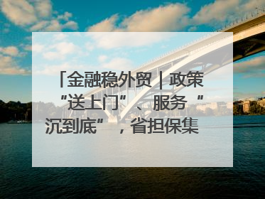 金融稳外贸｜政策“送上门”、服务“沉到底”，省担保集团加力支持外经贸高质量发展