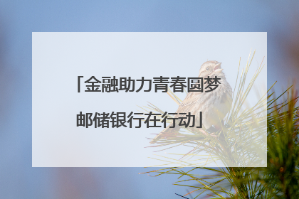 金融助力青春圆梦邮储银行在行动