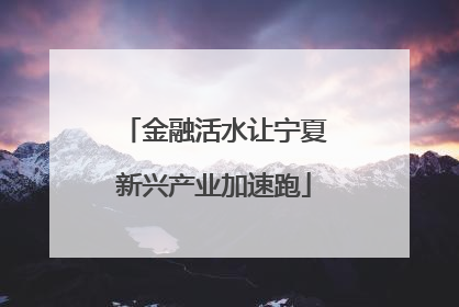 金融活水让宁夏新兴产业加速跑