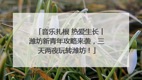 音乐扎根 热爱生长丨潍坊新青年攻略来袭，三天两夜玩转潍坊！