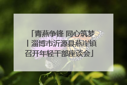 青燕争锋 同心筑梦丨淄博市沂源县燕崖镇召开年轻干部座谈会