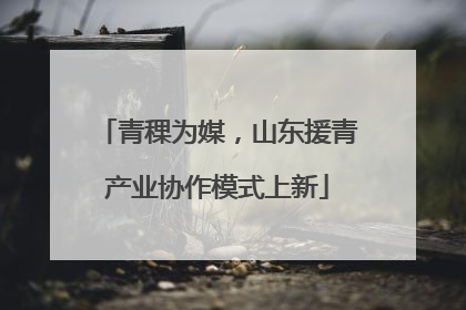青稞为媒，山东援青产业协作模式上新