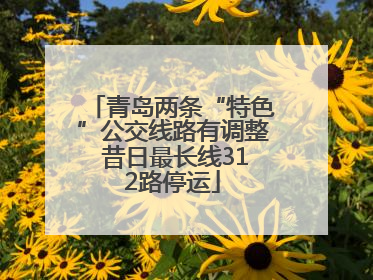青岛两条“特色”公交线路有调整 昔日最长线312路停运