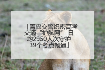青岛交警织密高考交通“护航网” 日均2950人次守护39个考点畅通